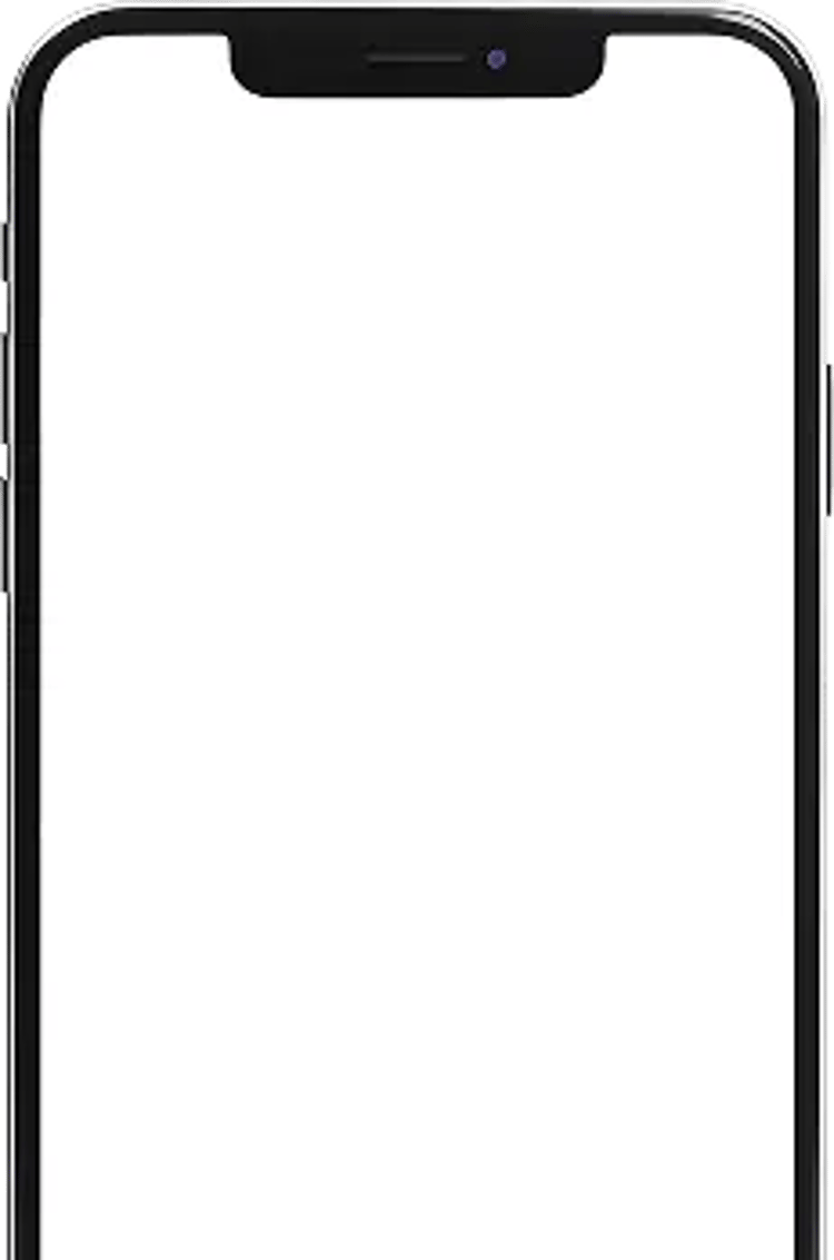 Visa payment phone