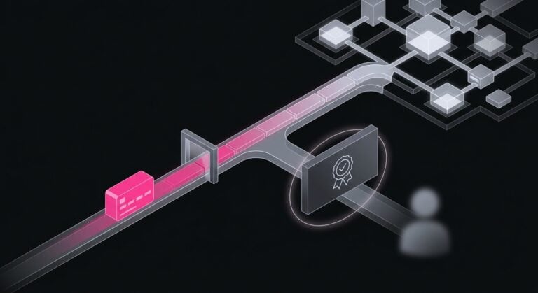 Conceptual view of PAN and BIN as routing data separated from cardholder identity under PCI-DSS protections.